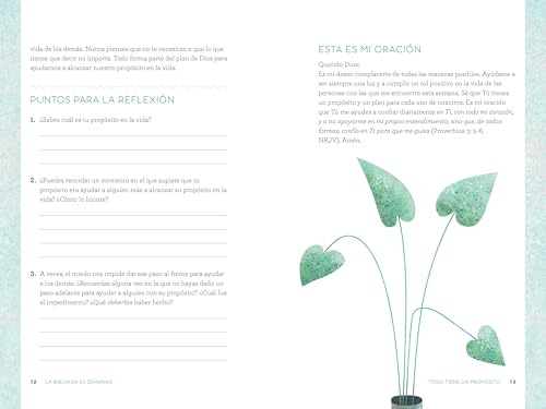 La Biblia en 52 semanas: Un estudio bíblico anual para la mujer